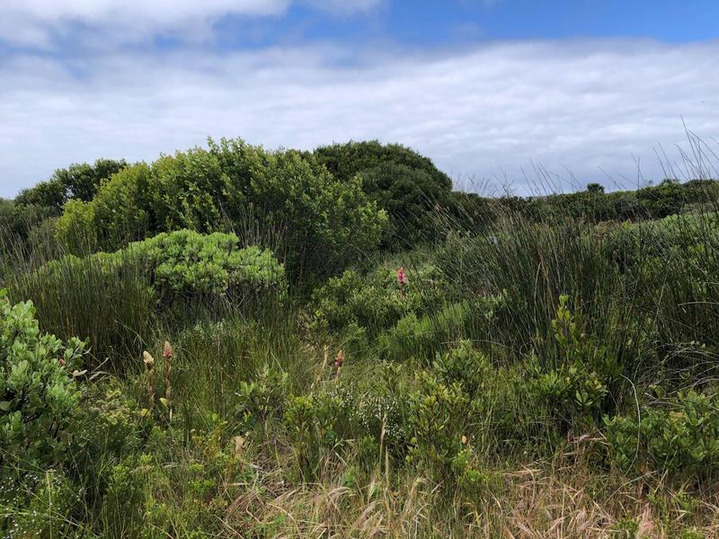 0 Bedroom Property for Sale in Kleinbaai Western Cape
